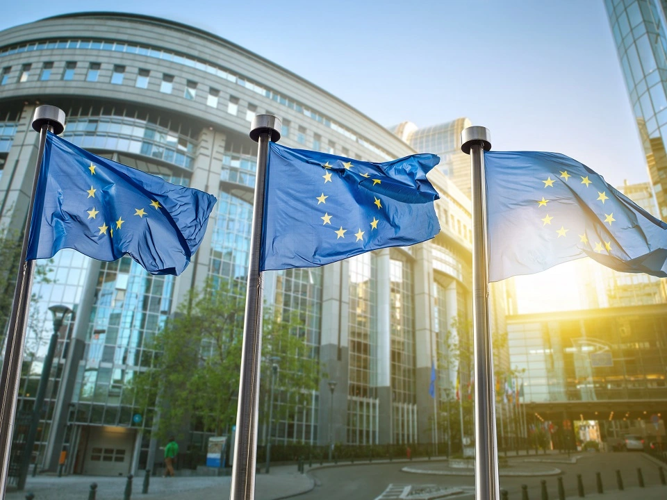 <span>Гарантированное вступление в гражданство Евросоюза</span> с помощью миграционных специалистов